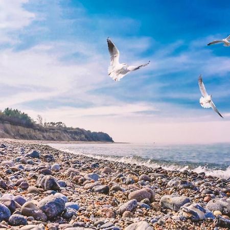 Willa Bungalow Sonne Und Meer Direkt Am Strand Dranske Zewnętrze zdjęcie