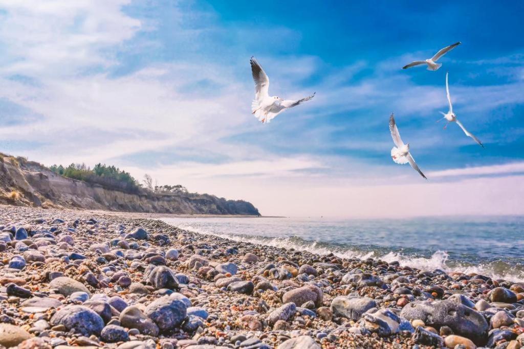 Willa Bungalow Sonne Und Meer Direkt Am Strand Dranske Zewnętrze zdjęcie